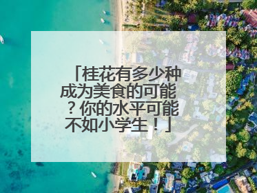 桂花有多少种成为美食的可能？你的水平可能不如小学生！