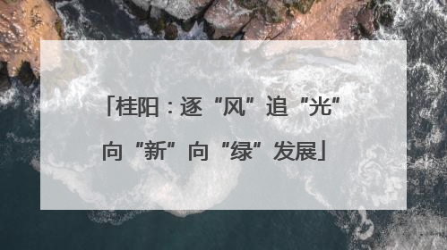 桂阳：逐“风”追“光” 向“新”向“绿”发展