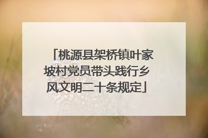 桃源县架桥镇叶家坡村党员带头践行乡风文明二十条规定