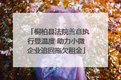 桐柏县法院善意执行显温度 助力小微企业追回拖欠租金