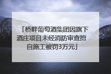 桥畔葡萄酒集团因旗下酒庄项目未经消防审查擅自施工被罚3万元