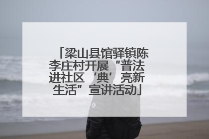 梁山县馆驿镇陈李庄村开展“普法进社区‘典’亮新生活”宣讲活动