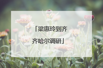 梁惠玲到齐齐哈尔调研