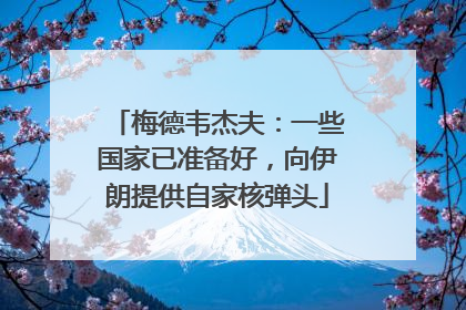 梅德韦杰夫：一些国家已准备好，向伊朗提供自家核弹头