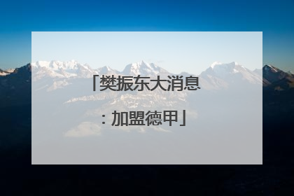 樊振东大消息：加盟德甲