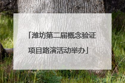 潍坊第二届概念验证项目路演活动举办