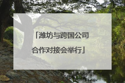 潍坊与跨国公司合作对接会举行