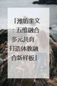 潍坊奎文：五维融合多元共育 打造体教融合新样板