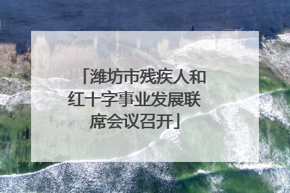 潍坊市残疾人和红十字事业发展联席会议召开