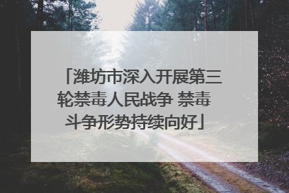 潍坊市深入开展第三轮禁毒人民战争 禁毒斗争形势持续向好