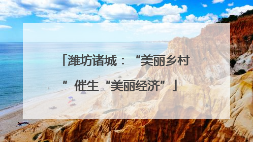 潍坊诸城：“美丽乡村”催生“美丽经济”