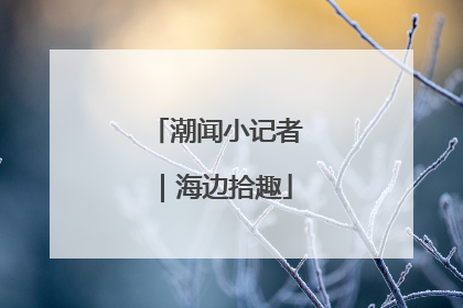 潮闻小记者｜海边拾趣