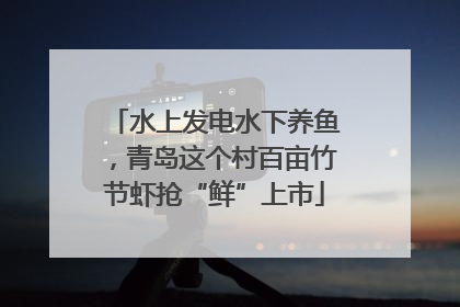水上发电水下养鱼，青岛这个村百亩竹节虾抢“鲜”上市