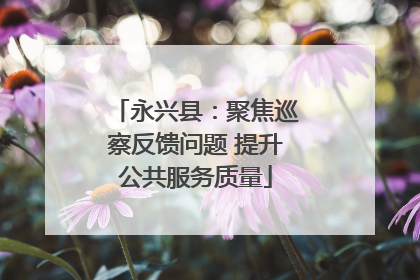 永兴县：聚焦巡察反馈问题 提升公共服务质量