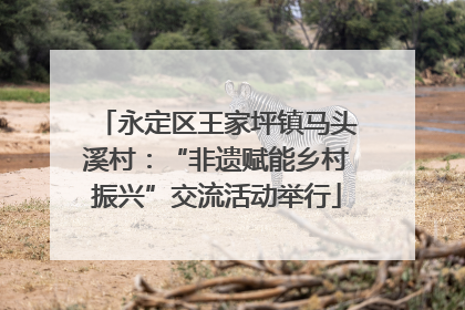 永定区王家坪镇马头溪村：“非遗赋能乡村振兴”交流活动举行