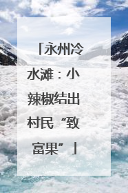 永州冷水滩：小辣椒结出村民“致富果”
