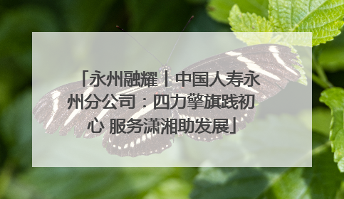 永州融耀丨中国人寿永州分公司：四力擎旗践初心 服务潇湘助发展