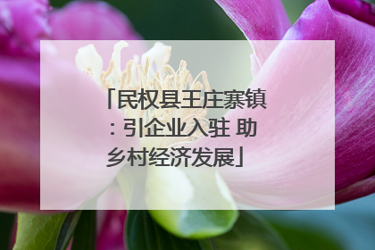 民权县王庄寨镇：引企业入驻 助乡村经济发展