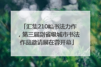 汇集210幅书法力作，第三届副省级城市书法作品邀请展在蓉开幕
