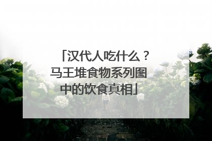 汉代人吃什么？马王堆食物系列图中的饮食真相