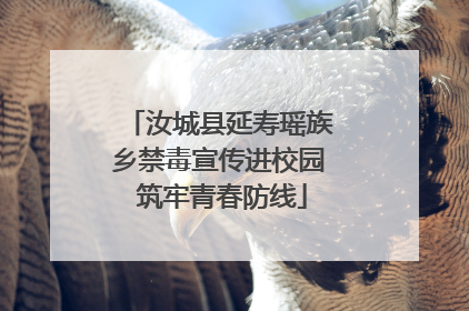 汝城县延寿瑶族乡禁毒宣传进校园 筑牢青春防线