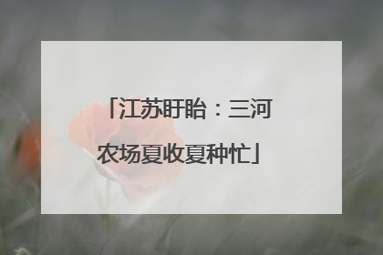 江苏盱眙：三河农场夏收夏种忙
