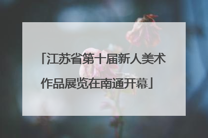 江苏省第十届新人美术作品展览在南通开幕