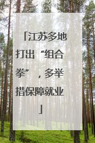 江苏多地打出“组合拳”，多举措保障就业