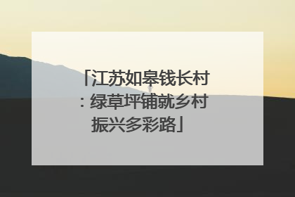 江苏如皋钱长村：绿草坪铺就乡村振兴多彩路
