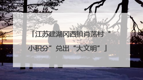 江苏建湖冈西镇肖荡村“小积分”兑出“大文明”