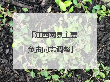 江西两县主要负责同志调整