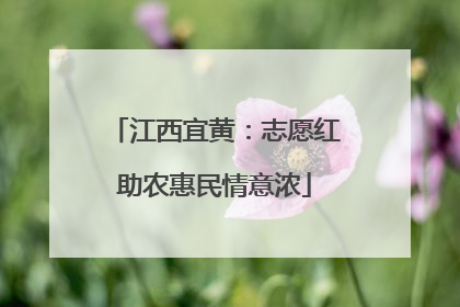 江西宜黄：志愿红助农惠民情意浓