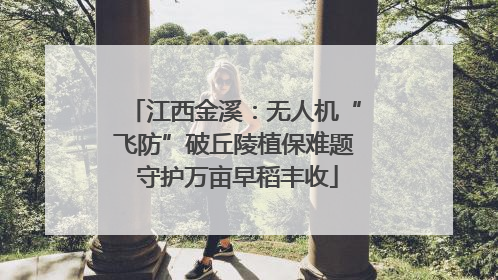 江西金溪：无人机“飞防”破丘陵植保难题 守护万亩早稻丰收