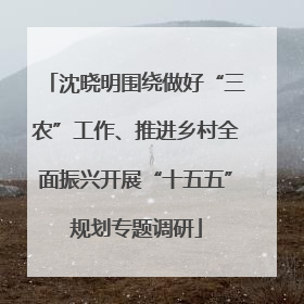 沈晓明围绕做好“三农”工作、推进乡村全面振兴开展“十五五”规划专题调研