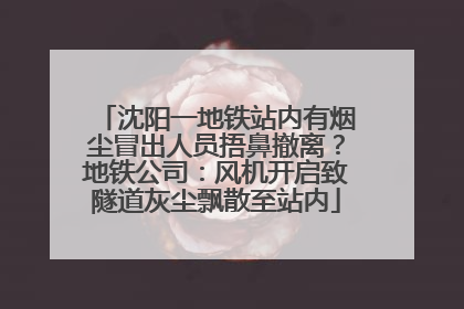 沈阳一地铁站内有烟尘冒出人员捂鼻撤离？地铁公司：风机开启致隧道灰尘飘散至站内