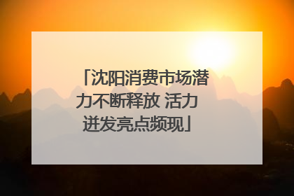 沈阳消费市场潜力不断释放 活力迸发亮点频现