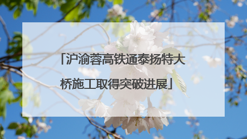 沪渝蓉高铁通泰扬特大桥施工取得突破进展