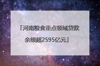 河南粮食重点领域贷款余额超2595亿元