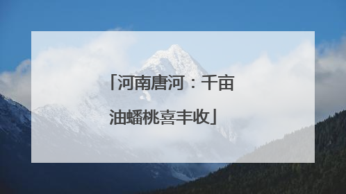 河南唐河：千亩油蟠桃喜丰收