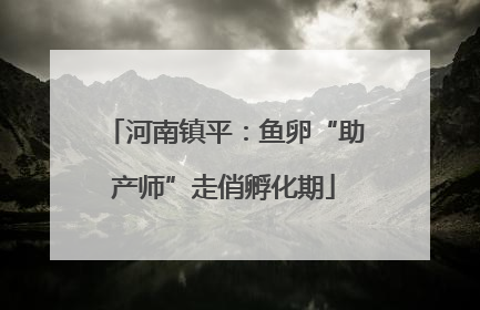 河南镇平：鱼卵“助产师”走俏孵化期