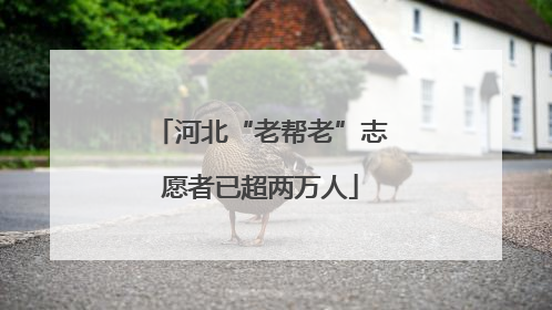 河北“老帮老”志愿者已超两万人
