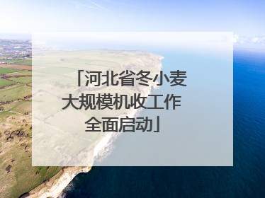 河北省冬小麦大规模机收工作全面启动