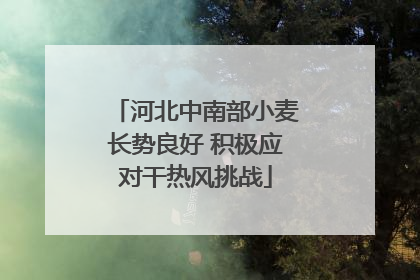 河北中南部小麦长势良好 积极应对干热风挑战