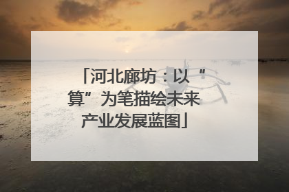 河北廊坊：以“算”为笔描绘未来产业发展蓝图