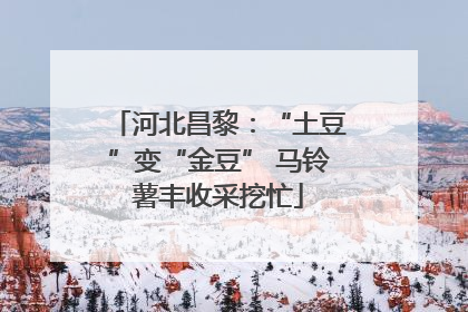 河北昌黎：“土豆”变“金豆” 马铃薯丰收采挖忙
