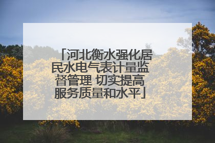 河北衡水强化居民水电气表计量监督管理 切实提高服务质量和水平