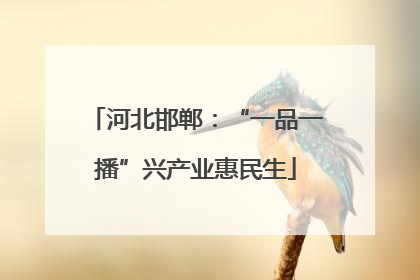 河北邯郸：“一品一播”兴产业惠民生