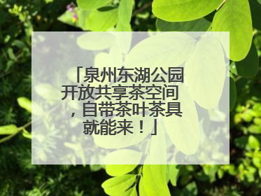 泉州东湖公园开放共享茶空间，自带茶叶茶具就能来！