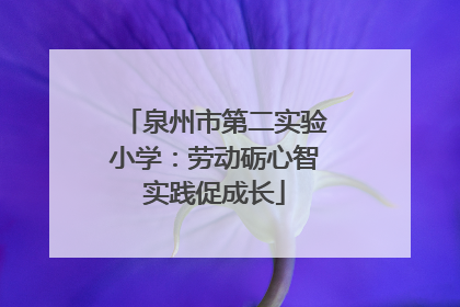 泉州市第二实验小学：劳动砺心智实践促成长