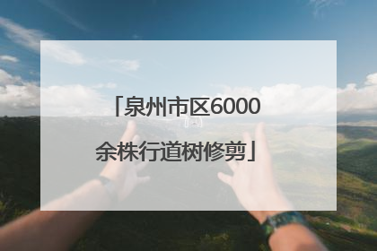 泉州市区6000余株行道树修剪